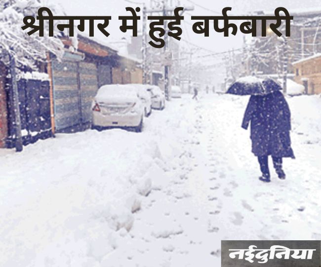 naidunia_image